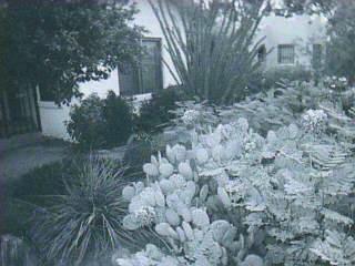 1533 E 9th St, Tucson, AZ 85719 photo 4