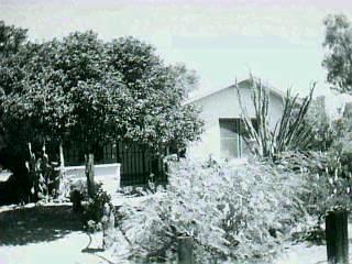 1533 E 9th St, Tucson, AZ 85719 photo 3