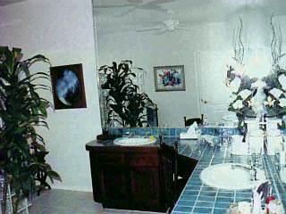 11306 E Limberlost Rd, Tucson, AZ 85749 photo 5
