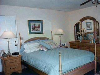 11306 E Limberlost Rd, Tucson, AZ 85749 photo 7
