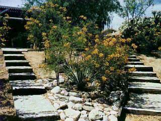 10081 Eric Alan Pl, Tucson, AZ 85748 photo 3