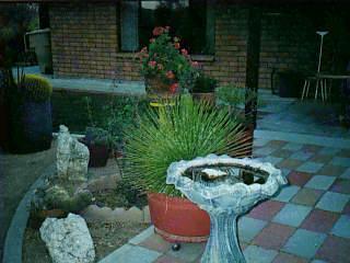 10081 Eric Alan Pl, Tucson, AZ 85748 photo 4