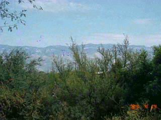 10081 Eric Alan Pl, Tucson, AZ 85748 photo 2
