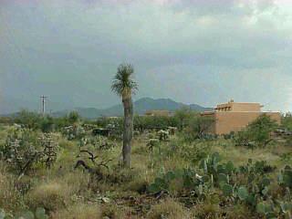 1081 N Calle Rinconado, Vail, AZ 85641 photo 1