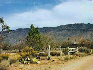 7335 S Pistol Hill Rd, Vail, AZ 85641 photo 3