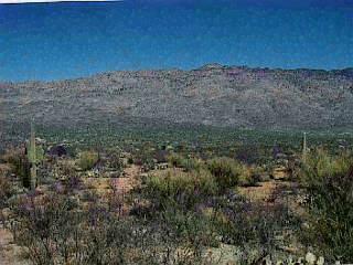 7555 S Rincon Valley Ranch Rd, Unknown, AZ 85747 photo 2