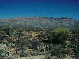 7555 S Rincon Valley Ranch Rd, Unknown, AZ 85747 photo 4