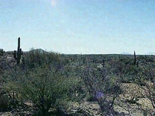 7555 S Rincon Valley Ranch Rd, Unknown, AZ 85747 photo 6