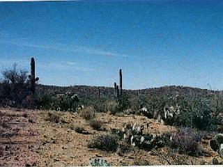 7555 S Rincon Valley Ranch Rd, Unknown, AZ 85747 photo 5