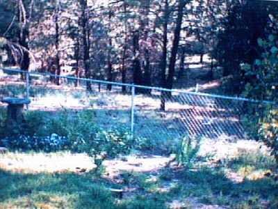 62 E Mohawk, Flagstaff, AZ 86001 photo 2