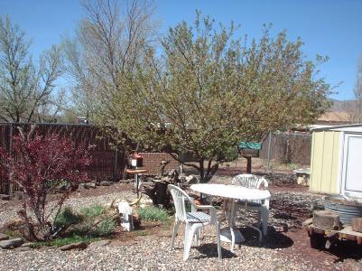 7920 Gemini Dr, Flagstaff, AZ 86004 photo 9