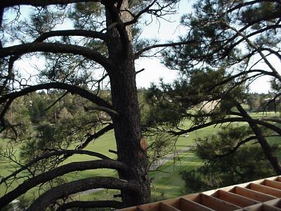4233 Broken Rock Loop, Flagstaff, AZ 86004 photo 4