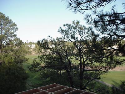 4233 Broken Rock Loop, Flagstaff, AZ 86004 photo 5