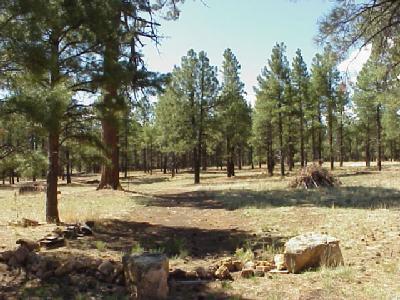 6617 Eagle Crest Dr, Flagstaff, AZ 86004 photo 11