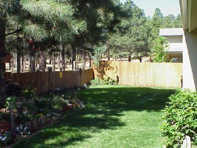 6617 Eagle Crest Dr, Flagstaff, AZ 86004 photo 10