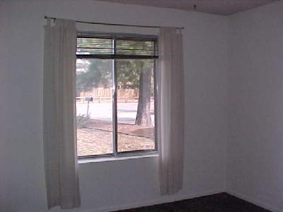 1015 Apple Way, Flagstaff, AZ 86001 photo 11