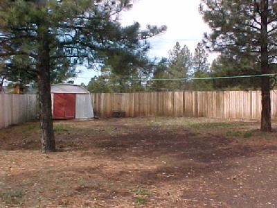 1015 Apple Way, Flagstaff, AZ 86001 photo 6