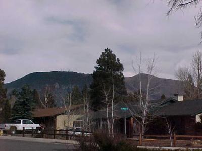 1015 Apple Way, Flagstaff, AZ 86001 photo 10