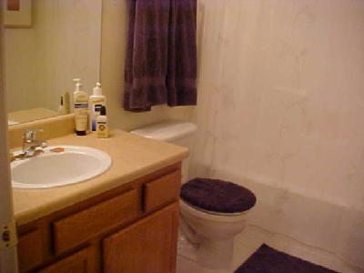 3840 S Ox Bow Loop, Flagstaff, AZ 86001 photo 11