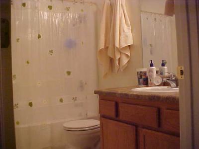 3840 S Ox Bow Loop, Flagstaff, AZ 86001 photo 3
