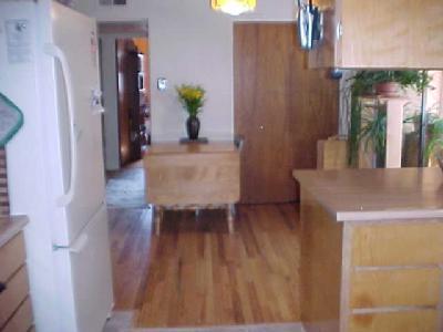 331 E Mohawk Dr, Flagstaff, AZ 86001 photo 5