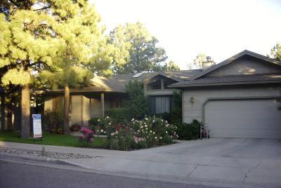 2121 E Skyline Dr, Flagstaff, AZ 86004 photo 1