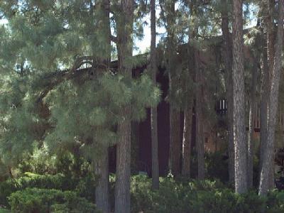 2901 E Hemberg, Flagstaff, AZ 86004 photo 11