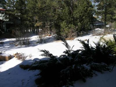 4411 E Coburn Dr, Flagstaff, AZ 86004 photo 6