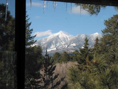 505 E Cherry Ave, Flagstaff, AZ 86001 photo 6