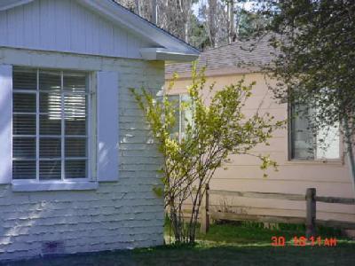 416 W Apache Rd, Flagstaff, AZ 86001 photo 2