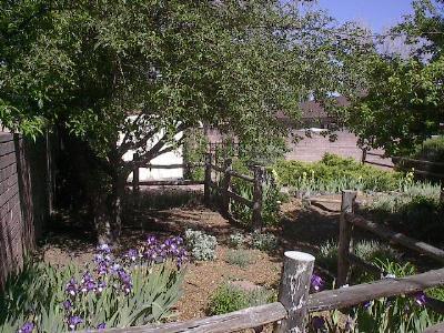 2512 Elder Dr, Flagstaff, AZ 86004 photo 18