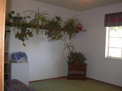 2512 Elder Dr, Flagstaff, AZ 86004 photo 12