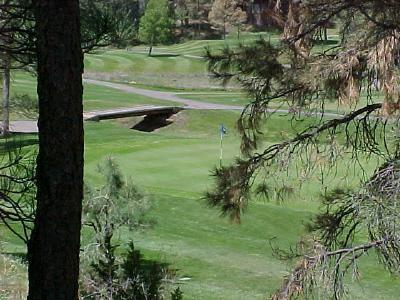 4353 Burning Tree Loop, Flagstaff, AZ 86004 photo 2