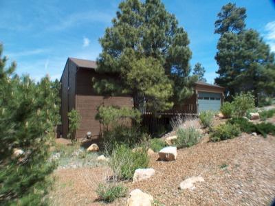 4353 Burning Tree Loop, Flagstaff, AZ 86004 photo 28