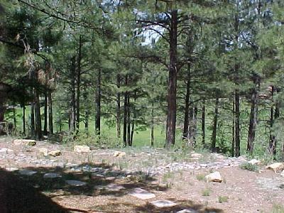 4353 Burning Tree Loop, Flagstaff, AZ 86004 photo 3