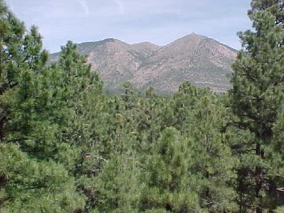 4353 Burning Tree Loop, Flagstaff, AZ 86004 photo 16