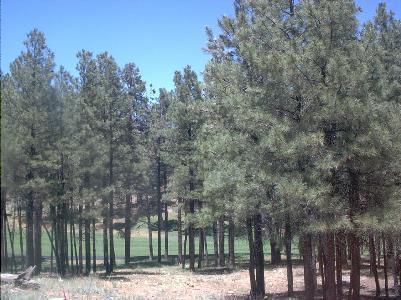 5250 E Mount Pleasant Dr, Flagstaff, AZ 86004 photo 11