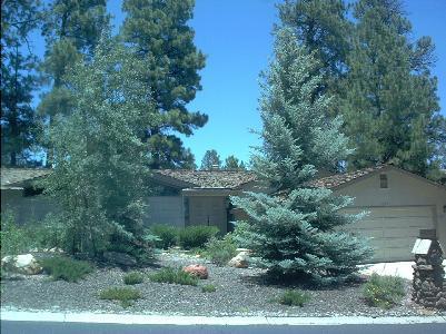 5250 E Mount Pleasant Dr, Flagstaff, AZ 86004 photo 1