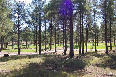 1907 E Barranca Dr, Flagstaff, AZ 86001 photo 1