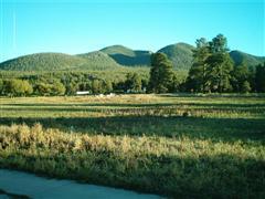 2725 Burning Tree Dr, Williams, AZ 86046 photo 1