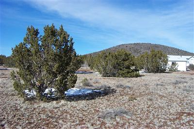 1753 E Prospect Ln, Williams, AZ 86046 photo 4