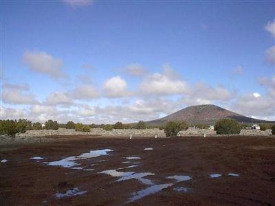 868 Hoctor Rd, Williams, AZ 86046 photo 4