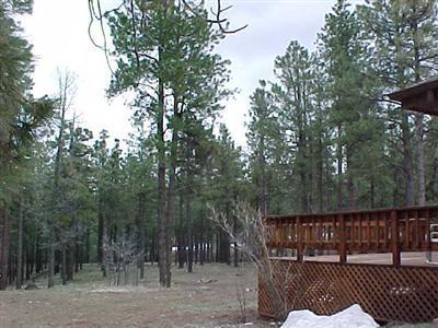 1055 E Fallen Pine Ter, Flagstaff, AZ 86001 photo 7