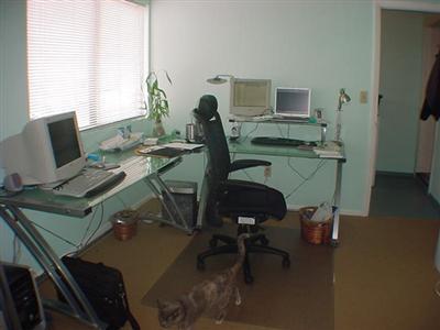 7940 N Gemini Dr, Flagstaff, AZ 86004 photo 9