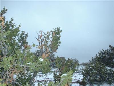 2335 Whitetail Loop, Williams, AZ 86046 photo 1