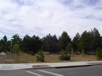 68 E Quartz Rd, Flagstaff, AZ 86001 photo 5