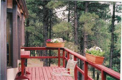 450 S Beech Dr, Flagstaff, AZ 86004 photo 6
