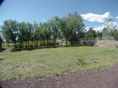 4930 E Crestview, Flagstaff, AZ 86004 photo 3
