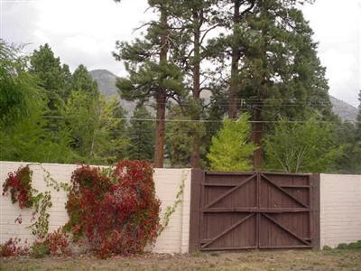 3006 E Mt Elden Dr, Flagstaff, AZ 86004 photo 15
