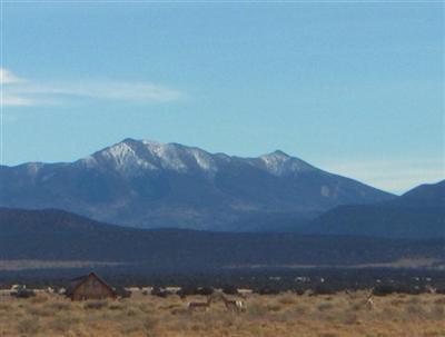 2807 E Columbus Dr, Valle, AZ 86046 photo 2